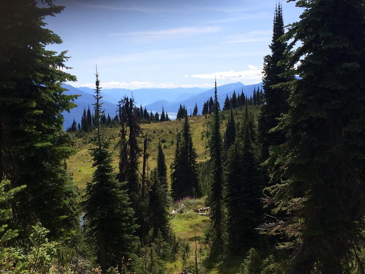 Alpenrose Revelstoke Bed & Breakfast 외부 사진